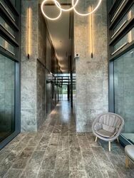 Twin Vew (D5), Apartment #530539931